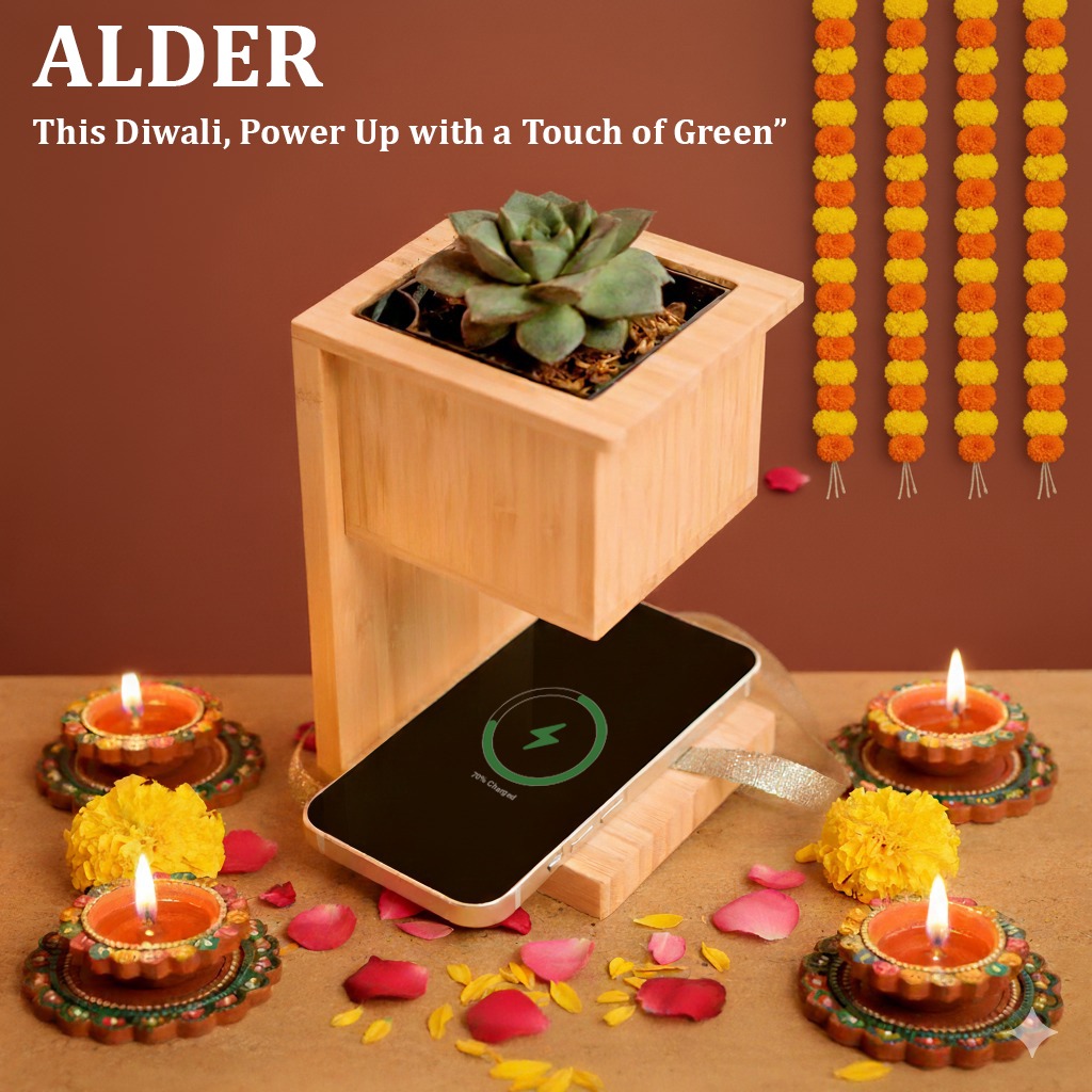 Alder