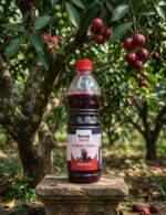 Revaj Kokam Juice | Kokum Aagal | 500ml Bottle - Image 7